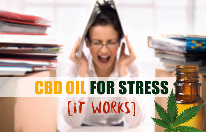 Image result for CBD stress