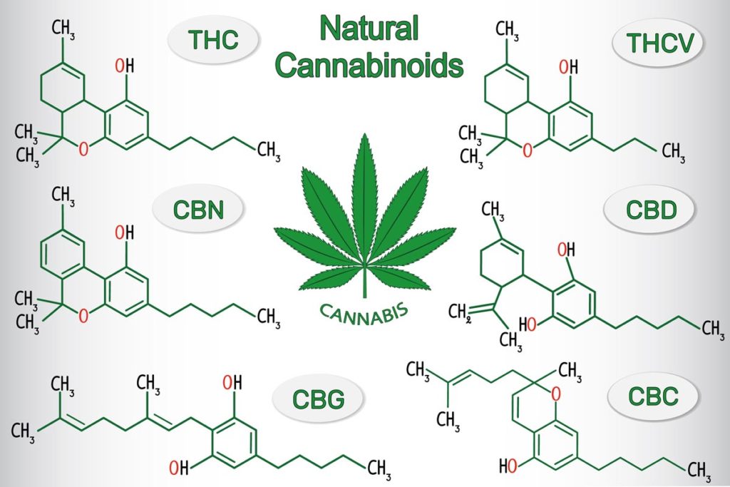 Image result for cannabinoid"