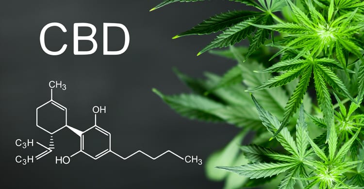 Image result for CBD and hormone
